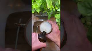 How to make a Moscow Mule - 1 minute how to! #Shorts #recipe #moscowmule #russia #drink #pittsburgh