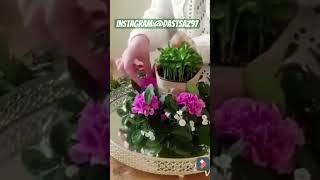 ایده سفره هفت سین شیک و جدید عید نوروز 1403 haftsin norouz