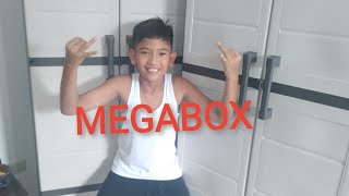 MEGABOX ASSEMBLY - MG-186