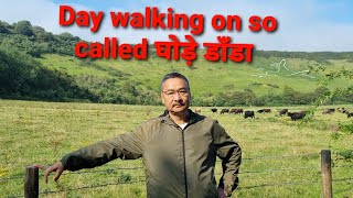 घोड़े डाँडा walking 050921