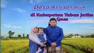 Jelajah Pedesaan yang Masih Asri & Sejuk di Kab. Tuban Jatim 🏡