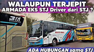 MULYO INDAH vs STJ ⁉️ ARMADA EKS STJ apakah Driver dari STJ juga❓Mulyo Indah SONDENO