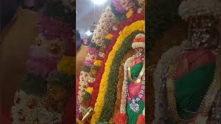 எழில் திகழும் தங்கமலை முருகன் கோயில்! #tamilshorts #murugan #bakthi #devotional