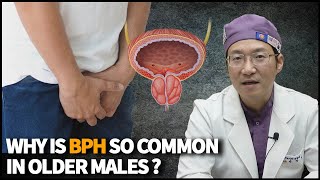 How common is Benign Prostatic Hyperplasia (BPH) in older males? Symptoms, Diagnosis, and Treatment?