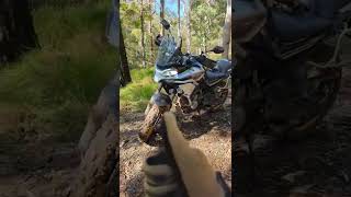 Getting dirty on the CF Moto 800MT Touring