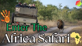 What to Expect on an African Safari When Taking a Tour