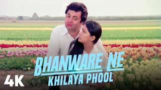 Bhanwre Ne Khilaya Phool - 4K Video | Prem Rog |Rishi Kapoor, Padmini Kolhapure |Lata M, Suresh W