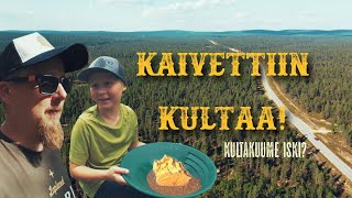 Kultakuume -Amatöörit mestarin opissa