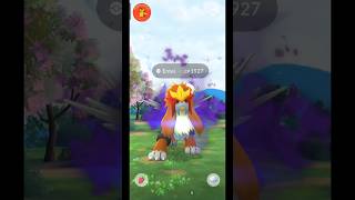 Legendary Shadow😈 Entei #entei #legendarypokemon #shorts #pokemongo #pokemon