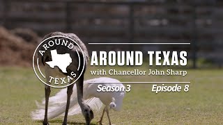 Around Texas Season 3 Episode 8