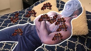 HUGE HISSING COCKROACH PRANK ON BOYFRIEND (HE FREAKS OUT)