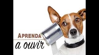 Quer ser bem sucedido: então aprenda a ouvir!