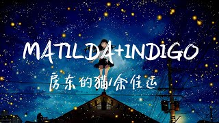 【纯享版】一首很温暖的歌, 耳孕了!《MATILDA+INDIGO》房东的猫/余佳运