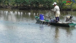 Amazing Fisherman Using Net Catch A Lot Of Fish | Cambodian Fishing | FLV Official