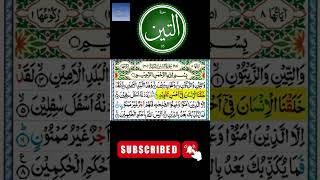 Surah Teen || Surah at Teen || Quran Recitation @eislamicchannel5809