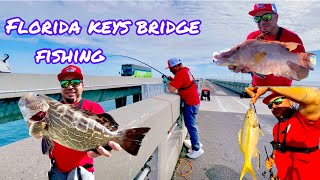 Florida keys fishing | black grouper | hog fish | yellow tail snapper | mackerel | e-scooter fun 🤩