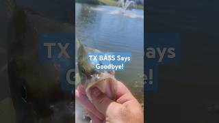 Texas BASS With SOUTHERN Charm 💜 🤠 #bassfishinglife