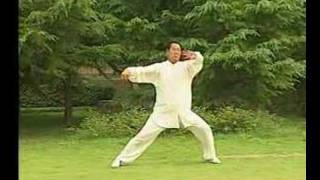 Taiji - Chen Style New 1st form (Wang Xian)