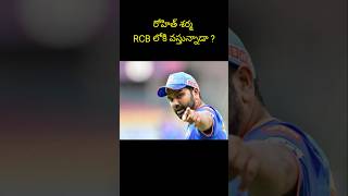 రోహిత్ శర్మ RCB లోకి వస్తున్నాడా..? #SHORTS #trending