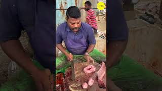 KASIMEDU SPEED SELVAM GROUPPER FISH CUTTING VIDEO / cutting focus #kasimeduselvam #bigfishcutting