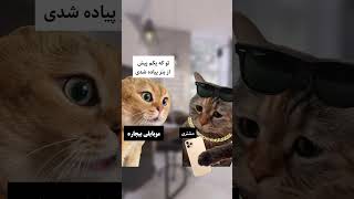 مشتری بنز سوار فقیر : اون داستان داره😅🤣😂