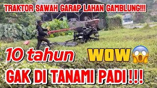 Traktor sawah joki cilik beraksi garap lahan gamblung!! sudah 10 tahun gak di tanam padi