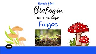 Biologia  - Aula sobre o Reino dos Fungos