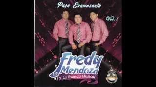 tirado como un buey - Fredy Mendoza y la Esencia Musical