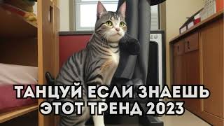 💗ТАНЦУЙ ЕСЛИ ЗНАЕШЬ ЭТОТ ТРЕНД 2023💗