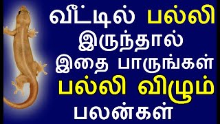 வீட்டில் பல்லி இருந்தால் இதை பாருங்கள் | #பல்லி விழும் பலன் |  சத்தமிடும் பலன் | palli vilum palan