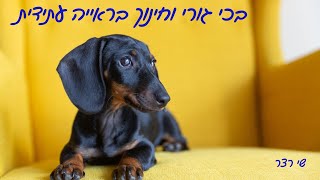 בכי גורי ותהליכי לימוד בראייה עתידי