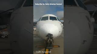 This plane gets damaged from a bird strike! | Daily aviation 27 #aviation #shorts #birdstrike