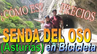 SENDA DEL OSO (ASTURIAS) EN BICICLETA: Cómo es, Dónde Alquilar Bicis, Precios, Dónde Comer.