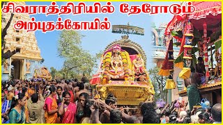 சிவராத்திரியில் தேரோடும் அற்புதக் கோயில் | Keerimalai sivan kovil thiruvizha | jaffna | Ceylon Jodi