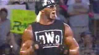 nWo Hollywood has good news and bad news for Goldberg