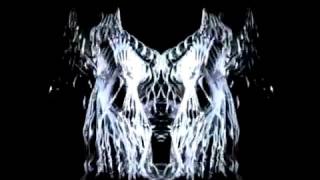 Red Hot Chili Peppers   The Zephyr Song Official Music Video