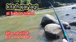 harus paham di mana titik ikan nilem  pada ngumpul.. mancing  tehnik pelampung