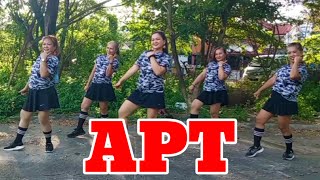 APT l TIKTOK VIRAL l DANCE FITNESS l SOLID LADIES CREW