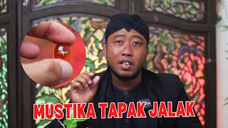 Batu Mustika Legendaris Yang Bisa Bikin Pemakainya Jadi Pemberani ! Review Batu Mustika Tapak Jalak