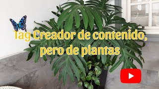 Reto: #TAGCREADORDECONTENIDOPERODEPLANTAS 🌿🌾🪴