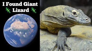 I Found Giant 🦎 Lizard 🦎 On Google Earth & Map