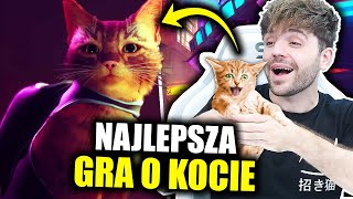 Nowa NAJPOPULARNIEJSZA GRA o... Kocie?!