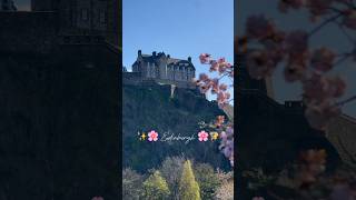 Edinburgh 🌸✨🫶 #edinburgh #cherryblossom #edinburghcity #fyp #sub #edinburghcastle