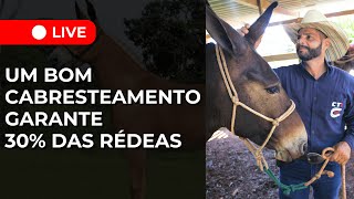 LIVE | UM BOM CABRESTEAMENTO GARANTE 30% DAS RÉDEAS | com Marcos Cordeiro