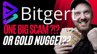 Bitgert $BRISE A SCAM ? - Another Look At Bitgert