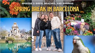 Spring Break in Barcelona: Episode 2 - Birds, Beaches, and Barrios