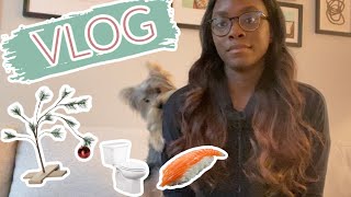 VLOG - Puppy Potty Training Update 🐶, New Hair, Christmas Decor 🌲