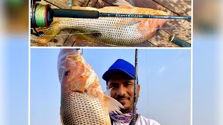 Kokan Fishing Trip With Family episode 01#4k #Majorcraft#Giantkilling#fingermark#snapper