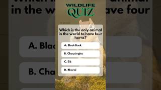 Wildlife week quiz|solved|top questions|No.3