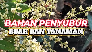 Bahan dapur ini bisa menyuburkan tanaman dalam pot agar cepat berbuah